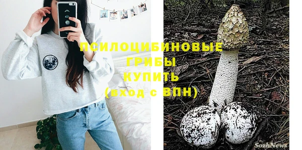 МДМА Заводоуковск