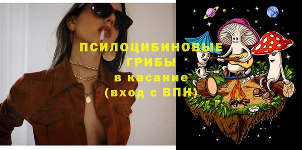 МДМА Заводоуковск