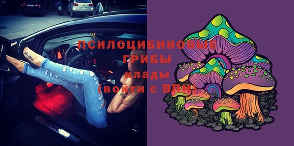 молекула духа Заволжск