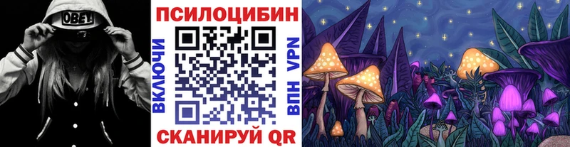 Купить закладки Колпашево Псилоцибиновые грибы Psilocybine cubensis