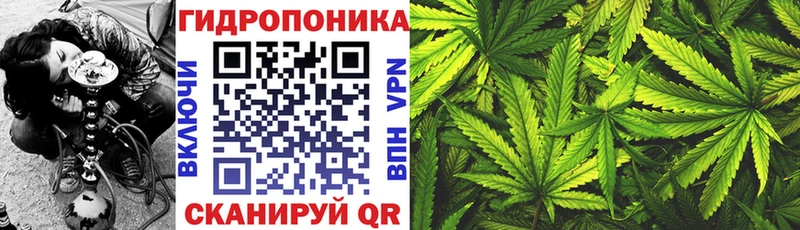Купить  Колпашево  Шишки марихуана сатива 